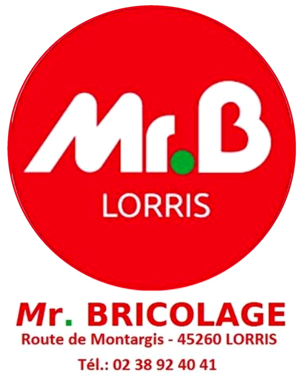 MR BRICOLAGE LORRIS